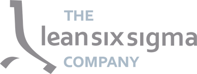 theleansixsigmacompany.com.om